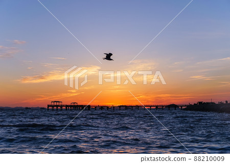 慶平港日落 88210009