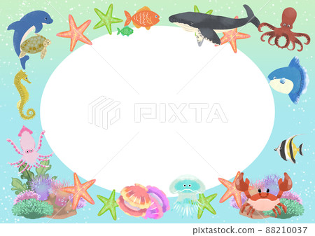 海框架 海框架 88210037