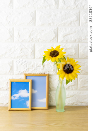 Image of a room with white walls 88210564