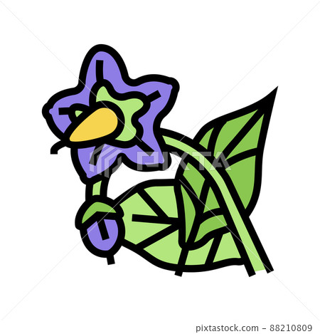 eggplant flower color icon vector illustration eggplant flower color icon vector illustration 88210809