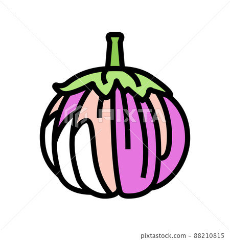bianca eggplant color icon vector illustration 88210815