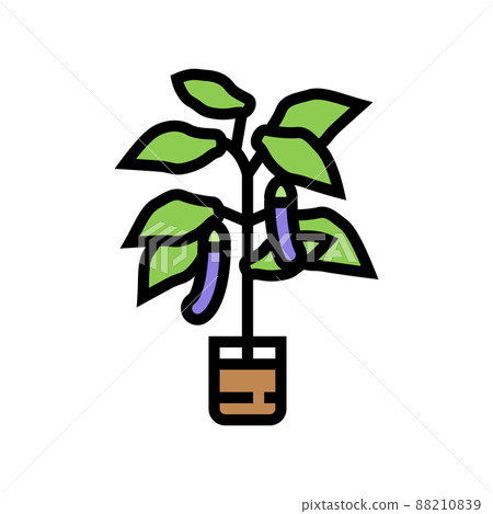 eggplant in pots color icon vector illustration eggplant in pots color icon vector illustration 88210839