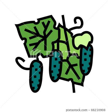 growing natural cucumber color icon vector illustration growing natural cucumber color icon vector illustration 88210908