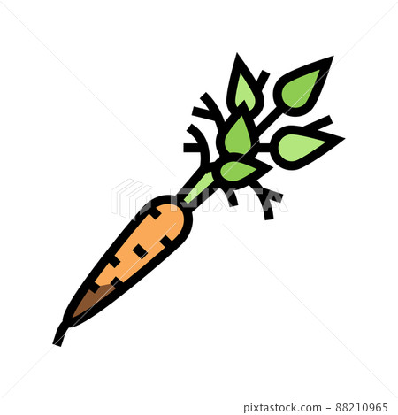 raw carrot color icon vector illustration raw carrot color icon vector illustration 88210965