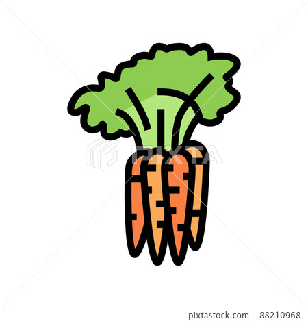 plant carrot color icon vector illustration plant carrot color icon vector illustration 88210968