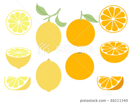 橙色和檸檬插圖集 88211340
