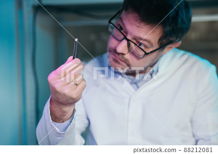 A laboratory assistant's hand holds a corn seed in tweezers, and corn seeds in a petri dish are decorated with plates with the names of E. A laboratory assistant's hand holds a corn seed in tweezers, and corn seeds in a petri dish are decorated with plates with the names of E. 88212081