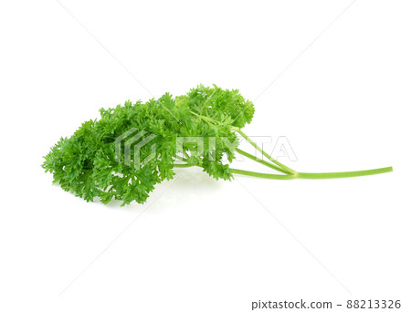Parsley isolated on white background Parsley isolated on white background 88213326
