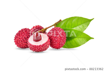 lychee litschi isolated on white background lychee litschi isolated on white background 88213362