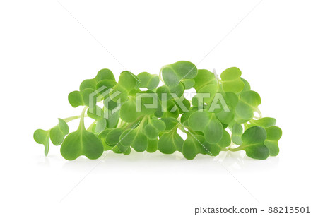 heap of alfalfa sprouts on white background heap of alfalfa sprouts on white background 88213501
