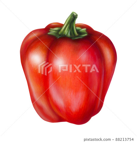 Red pepper on a white background, illustration with mixed media Red pepper on a white background, illustration with mixed media 88213754