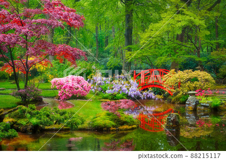 Japanese garden, Park Clingendael, The Hague, Netherlands Japanese garden, Park Clingendael, The Hague, Netherlands 88215117