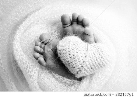The tiny foot of a newborn baby. Soft feet of a new born in a wool blanket. Close up of toes, heels and feet of a newborn. Knitted heart in the legs of baby. Macro photography. Black and white. The tiny foot of a newborn baby. Soft feet of a new born in a wool blanket. Close up of toes, heels and feet of a newborn. Knitted heart in the legs of baby. Macro photography. Black and white. 88215761