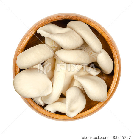 Fresh oyster mushrooms, in a wooden bowl. Pleurotus, also known as abalone or tree mushrooms. One of most widely cultivated and eaten mushrooms in the world. Close-up, from above, isolated food photo. Fresh oyster mushrooms, in a wooden bowl. Pleurotus, also known as abalone or tree mushrooms. One of most widely cultivated and eaten mushrooms in the world. Close-up, from above, isolated food photo. 88215767