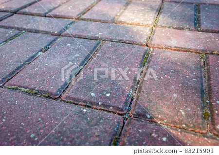 Rectangular paving stones laid on the ground 88215901