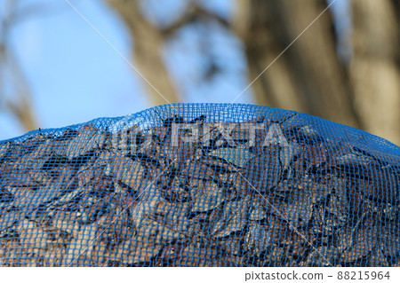 Fallen leaves in the blue net 88215964