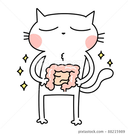 Have a clean intestine Have a clean intestine 88215989
