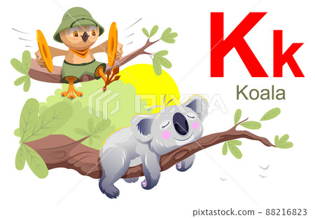 ABC spanish alphabet letter K koala. Learning spanish owl sit branch koala sleep ABC spanish alphabet letter K koala. Learning spanish owl sit branch koala sleep 88216823