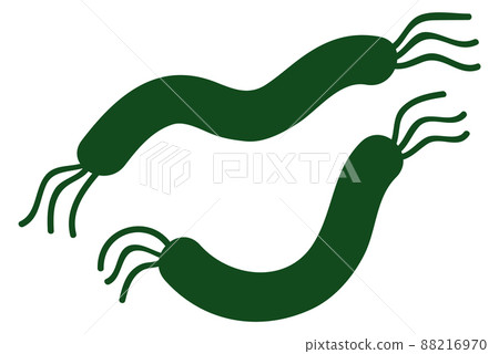 Bacteria icon. Infection disease symbol. Flat microbe Bacteria icon. Infection disease symbol. Flat microbe 88216970