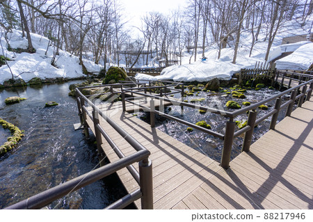 吹田市公園長廊 吹田市公園長廊 88217946