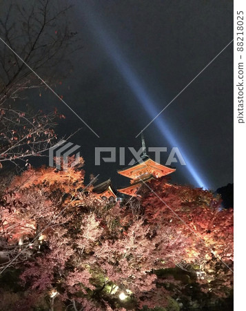 在一個秋夜燈火通明 88218025