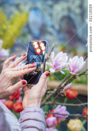 Female photographer holding smartphone outdoors in spring magnolia blossom season. Travel nature photography Female photographer holding smartphone outdoors in spring magnolia blossom season. Travel nature photography 88218089