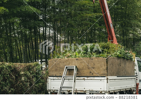 Landscaping and civil engineering work: Truck loaded with pruning branches Landscaping and civil engineering work: Truck loaded with pruning branches 88218381