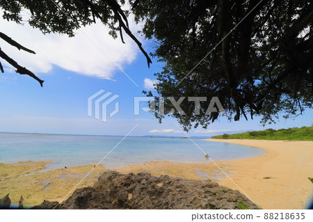 海灘錫蘭社區 88218635
