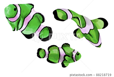 Watercolor Bright neon fish. Clownfish. variegated bright fish Watercolor Bright neon fish. Clownfish. variegated bright fish 88218719