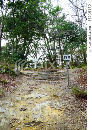 一宮城續日本100座精美城堡 88219170