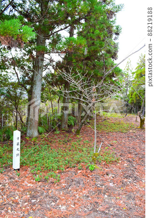 Ichinomiya Castle Continued 100 Fine Castles in Japan 88219188