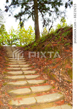 Ichinomiya Castle Continued 100 Fine Castles in Japan 88219215