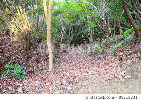 一宮城續日本100座精美城堡 88219231