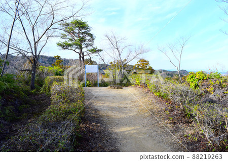 一宮城續日本100座精美城堡 88219263