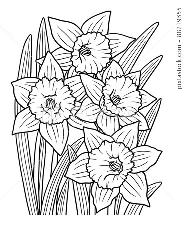 Daffodil Flower Coloring Page for Adults 88219355