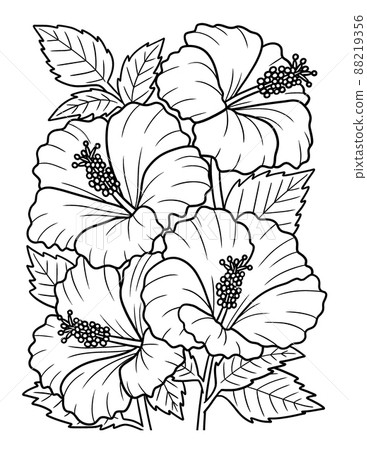 Hibiscus Flower Coloring Page for Adults 88219356