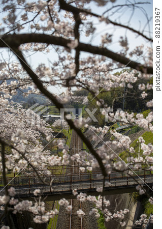 到處都是鐵路 88219367