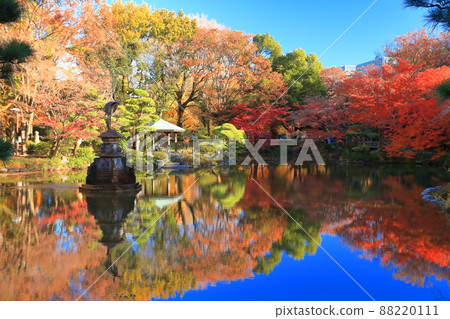 [東京]晴天的日比谷公園，雲台池紅葉 88220111