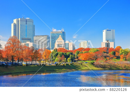 [Tokyo] Parliament Building and Autumn Leaves in Sunny Sky (Imperial Palace Sakurada Moat) 88220126