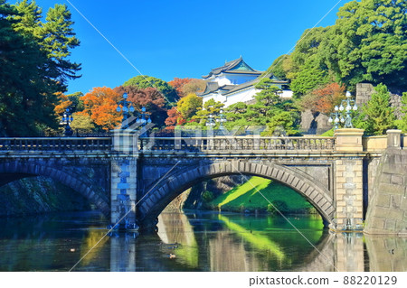 [Tokyo] The front stone bridge under fine weather and the autumn leaves of Fushimi Turret (Kokyo Gaien) 88220129