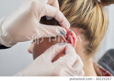piercings on an ear. Conch and helix piercings close up. 88220267