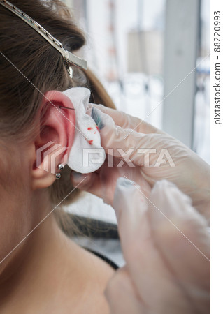 piercings on an ear. Conch and helix piercings close up. 88220993