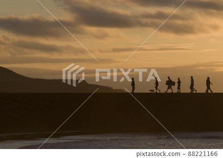 Yellow sunset near the beach in spring or summer 88221166
