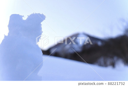 雪人看的地方 88221732
