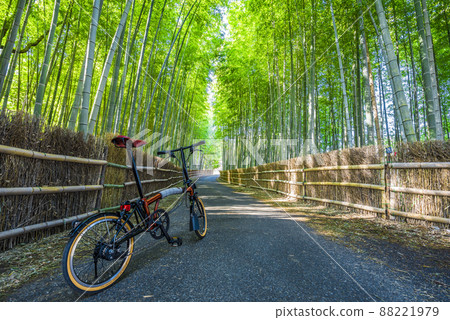 《愛知縣》知多市知多竹林 88221979