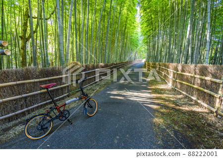 《Aichi Prefecture》 Chita City Chita Bamboo Forest 88222001