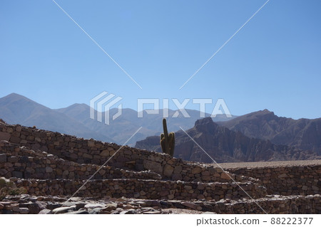 Cactus and colored mountain on back, in Pucara de tilcara, Jujuy, Argentina. desert landscape Cactus and colored mountain on back, in Pucara de tilcara, Jujuy, Argentina. desert landscape 88222377