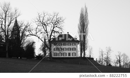 Richard Wagner Museum and trees, Lucerne. Richard Wagner Museum and trees, Lucerne. 88222755