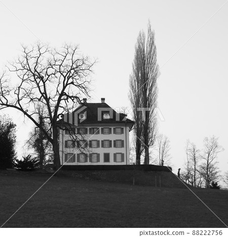 Richard Wagner Museum and trees, Lucerne. Richard Wagner Museum and trees, Lucerne. 88222756