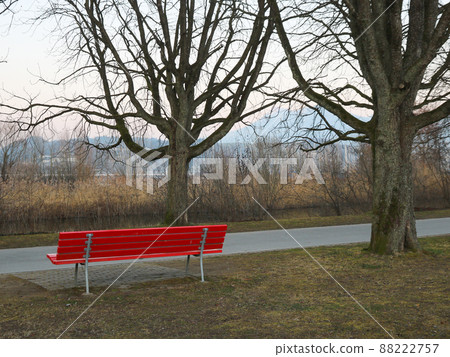Red bench and tree in a park at the shore of Lake Lucerne. 88222757